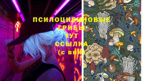 МДПВ Волосово