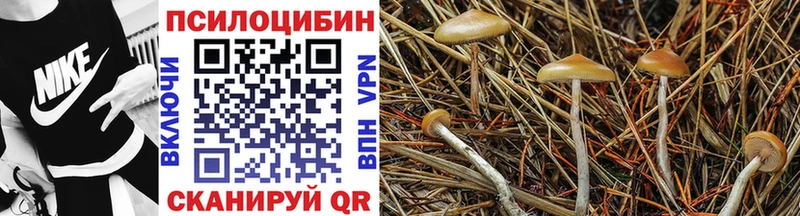 Псилоцибиновые грибы ЛСД  купить закладку  Ишим 